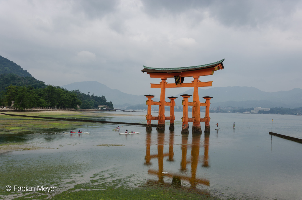Galeriebild DSC_0239.jpg